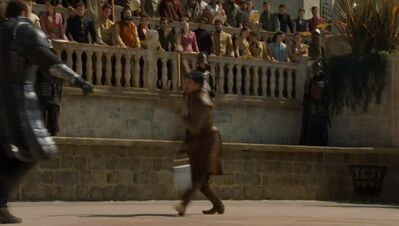 GAME_OF_THRONES_-_E4X08_THE_MOUNTAIN_AND_THE_VIPER_0507.jpg