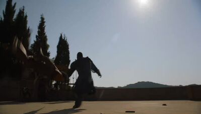 GAME_OF_THRONES_-_E4X08_THE_MOUNTAIN_AND_THE_VIPER_0570.jpg