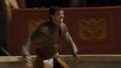 GAME_OF_THRONES_-_E4X08_THE_MOUNTAIN_AND_THE_VIPER_0577.jpg