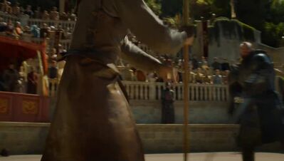 GAME_OF_THRONES_-_E4X08_THE_MOUNTAIN_AND_THE_VIPER_0590.jpg