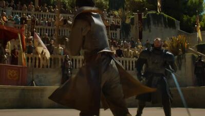 GAME_OF_THRONES_-_E4X08_THE_MOUNTAIN_AND_THE_VIPER_0594.jpg