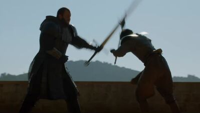 GAME_OF_THRONES_-_E4X08_THE_MOUNTAIN_AND_THE_VIPER_0608.jpg