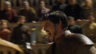 GAME_OF_THRONES_-_E4X08_THE_MOUNTAIN_AND_THE_VIPER_0667.jpg