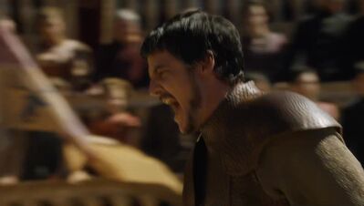 GAME_OF_THRONES_-_E4X08_THE_MOUNTAIN_AND_THE_VIPER_0668.jpg