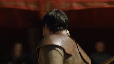 GAME_OF_THRONES_-_E4X08_THE_MOUNTAIN_AND_THE_VIPER_0674.jpg