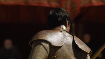 GAME_OF_THRONES_-_E4X08_THE_MOUNTAIN_AND_THE_VIPER_0675.jpg