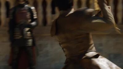 GAME_OF_THRONES_-_E4X08_THE_MOUNTAIN_AND_THE_VIPER_0687.jpg