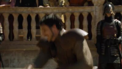 GAME_OF_THRONES_-_E4X08_THE_MOUNTAIN_AND_THE_VIPER_0689.jpg