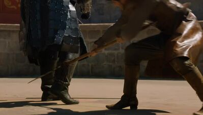 GAME_OF_THRONES_-_E4X08_THE_MOUNTAIN_AND_THE_VIPER_0695.jpg