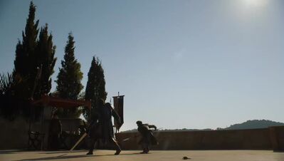 GAME_OF_THRONES_-_E4X08_THE_MOUNTAIN_AND_THE_VIPER_0698.jpg