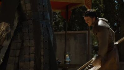 GAME_OF_THRONES_-_E4X08_THE_MOUNTAIN_AND_THE_VIPER_0701.jpg