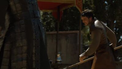 GAME_OF_THRONES_-_E4X08_THE_MOUNTAIN_AND_THE_VIPER_0702.jpg