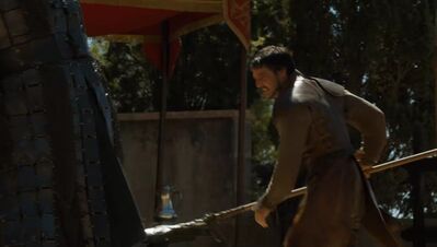 GAME_OF_THRONES_-_E4X08_THE_MOUNTAIN_AND_THE_VIPER_0704.jpg