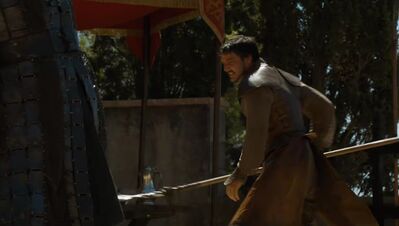 GAME_OF_THRONES_-_E4X08_THE_MOUNTAIN_AND_THE_VIPER_0705.jpg