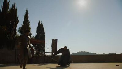 GAME_OF_THRONES_-_E4X08_THE_MOUNTAIN_AND_THE_VIPER_0711.jpg