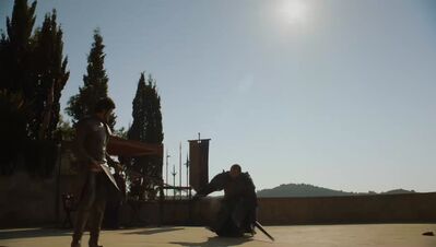 GAME_OF_THRONES_-_E4X08_THE_MOUNTAIN_AND_THE_VIPER_0712.jpg