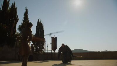 GAME_OF_THRONES_-_E4X08_THE_MOUNTAIN_AND_THE_VIPER_0714.jpg