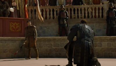 GAME_OF_THRONES_-_E4X08_THE_MOUNTAIN_AND_THE_VIPER_0715.jpg