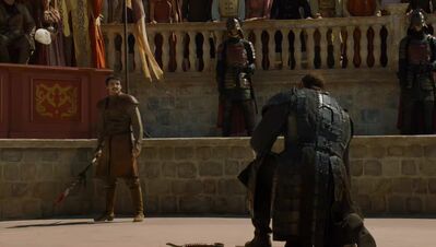 GAME_OF_THRONES_-_E4X08_THE_MOUNTAIN_AND_THE_VIPER_0716.jpg