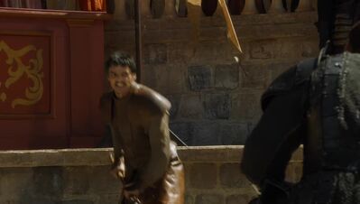 GAME_OF_THRONES_-_E4X08_THE_MOUNTAIN_AND_THE_VIPER_0724.jpg