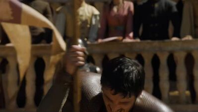 GAME_OF_THRONES_-_E4X08_THE_MOUNTAIN_AND_THE_VIPER_0735.jpg
