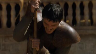 GAME_OF_THRONES_-_E4X08_THE_MOUNTAIN_AND_THE_VIPER_0737.jpg