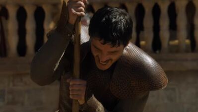 GAME_OF_THRONES_-_E4X08_THE_MOUNTAIN_AND_THE_VIPER_0738.jpg
