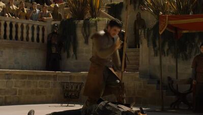 GAME_OF_THRONES_-_E4X08_THE_MOUNTAIN_AND_THE_VIPER_0740.jpg
