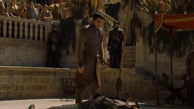 GAME_OF_THRONES_-_E4X08_THE_MOUNTAIN_AND_THE_VIPER_0744.jpg