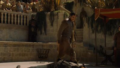 GAME_OF_THRONES_-_E4X08_THE_MOUNTAIN_AND_THE_VIPER_0748.jpg