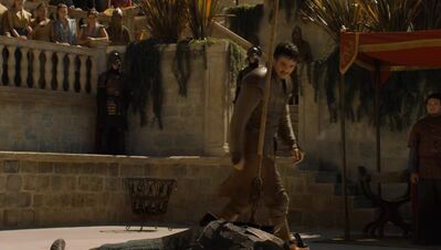 GAME_OF_THRONES_-_E4X08_THE_MOUNTAIN_AND_THE_VIPER_0749.jpg