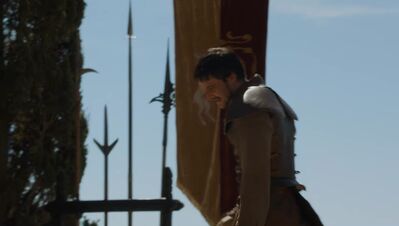 GAME_OF_THRONES_-_E4X08_THE_MOUNTAIN_AND_THE_VIPER_0762.jpg