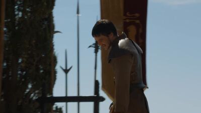 GAME_OF_THRONES_-_E4X08_THE_MOUNTAIN_AND_THE_VIPER_0763.jpg
