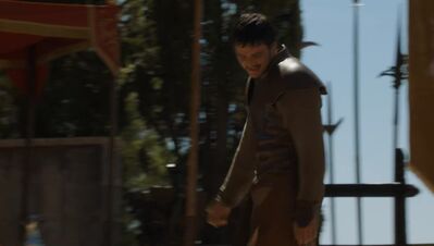 GAME_OF_THRONES_-_E4X08_THE_MOUNTAIN_AND_THE_VIPER_0767.jpg