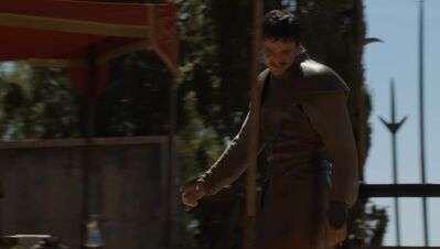 GAME_OF_THRONES_-_E4X08_THE_MOUNTAIN_AND_THE_VIPER_0768.jpg