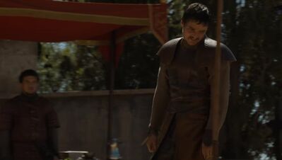 GAME_OF_THRONES_-_E4X08_THE_MOUNTAIN_AND_THE_VIPER_0770.jpg