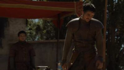 GAME_OF_THRONES_-_E4X08_THE_MOUNTAIN_AND_THE_VIPER_0771.jpg