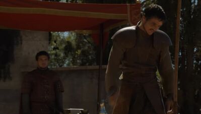 GAME_OF_THRONES_-_E4X08_THE_MOUNTAIN_AND_THE_VIPER_0772.jpg