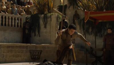 GAME_OF_THRONES_-_E4X08_THE_MOUNTAIN_AND_THE_VIPER_0774.jpg