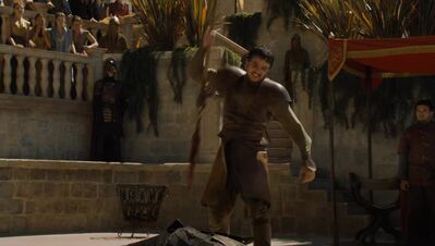 GAME_OF_THRONES_-_E4X08_THE_MOUNTAIN_AND_THE_VIPER_0776.jpg