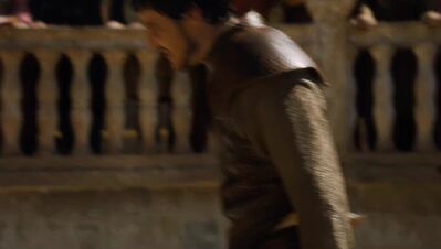 GAME_OF_THRONES_-_E4X08_THE_MOUNTAIN_AND_THE_VIPER_0782.jpg