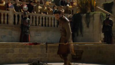GAME_OF_THRONES_-_E4X08_THE_MOUNTAIN_AND_THE_VIPER_0796.jpg
