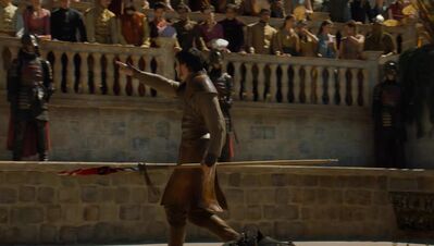 GAME_OF_THRONES_-_E4X08_THE_MOUNTAIN_AND_THE_VIPER_0802.jpg