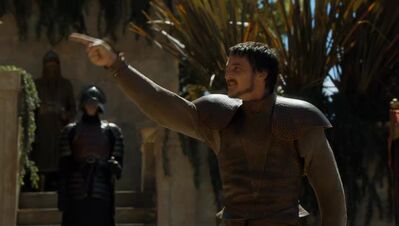 GAME_OF_THRONES_-_E4X08_THE_MOUNTAIN_AND_THE_VIPER_0806.jpg