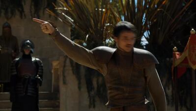 GAME_OF_THRONES_-_E4X08_THE_MOUNTAIN_AND_THE_VIPER_0810.jpg
