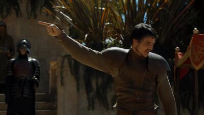 GAME_OF_THRONES_-_E4X08_THE_MOUNTAIN_AND_THE_VIPER_0811.jpg