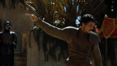 GAME_OF_THRONES_-_E4X08_THE_MOUNTAIN_AND_THE_VIPER_0812.jpg