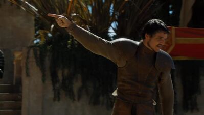 GAME_OF_THRONES_-_E4X08_THE_MOUNTAIN_AND_THE_VIPER_0814.jpg