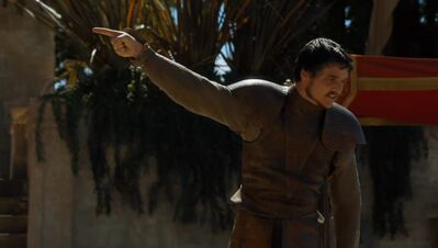 GAME_OF_THRONES_-_E4X08_THE_MOUNTAIN_AND_THE_VIPER_0815.jpg