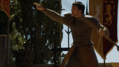 GAME_OF_THRONES_-_E4X08_THE_MOUNTAIN_AND_THE_VIPER_0816.jpg